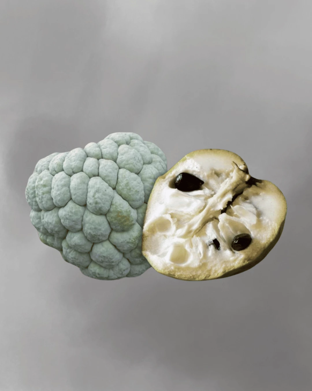 Annona squamosa (sweetsop)