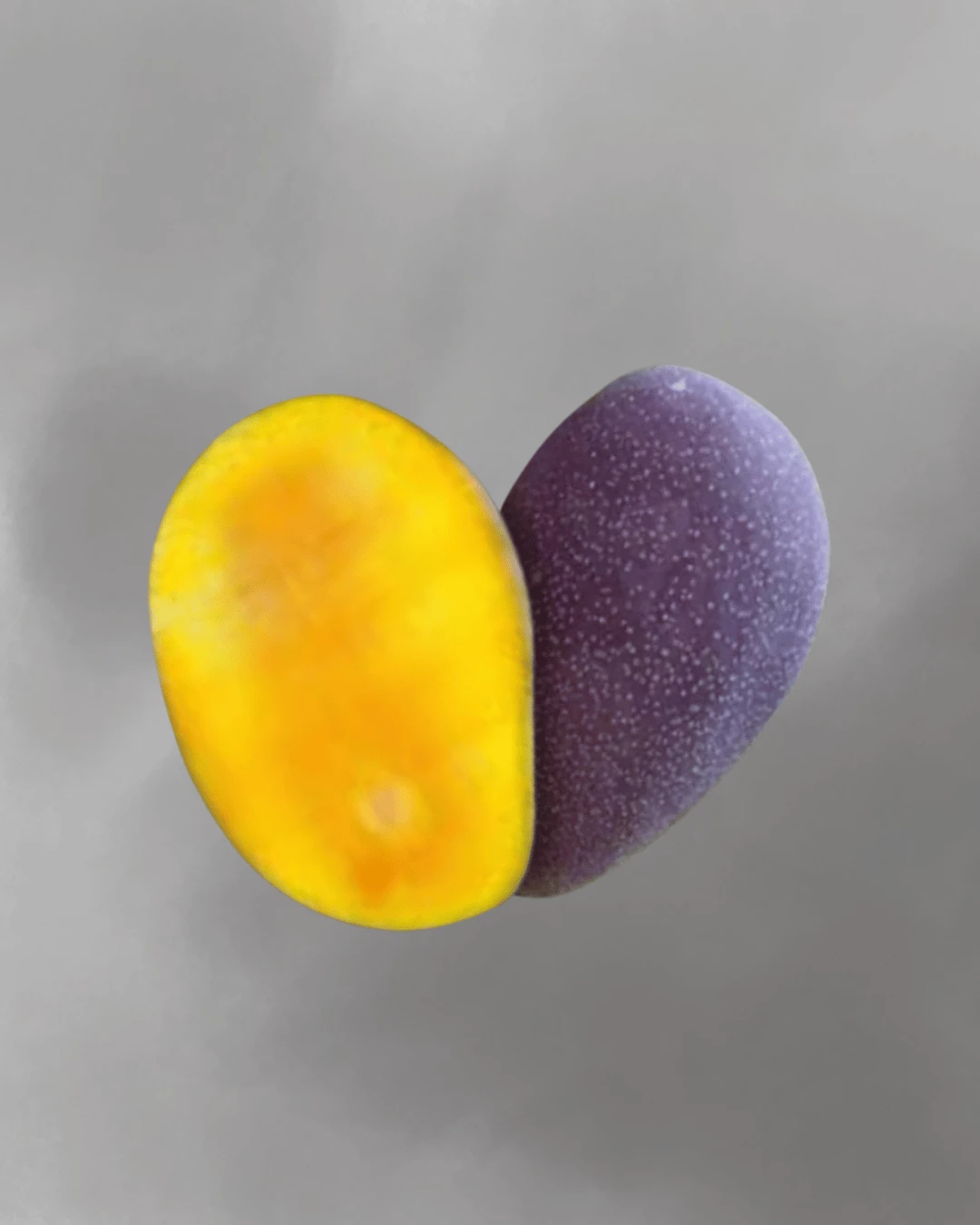 Mangifera casturi (Kasturi mango)