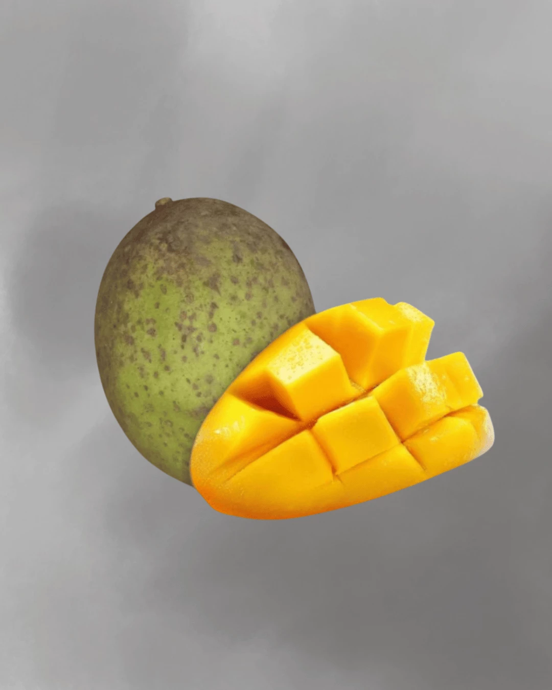 Mangifera foetida (Horse mango)