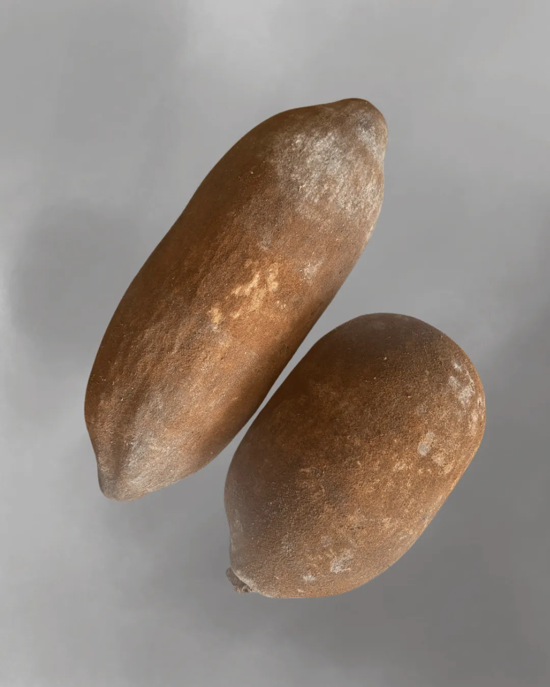 Theobroma grandiflorum