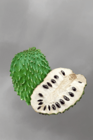 Annona muricata (Soursop) for sale