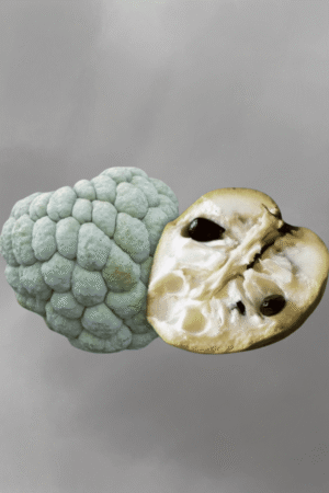 Buy Annona squamosa (sweetsop) for sale