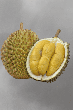 Durio zibethinus (Durian) for sale