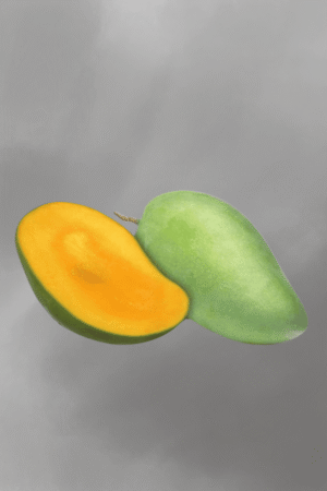 Mangifera indica (Arumanis) for sale