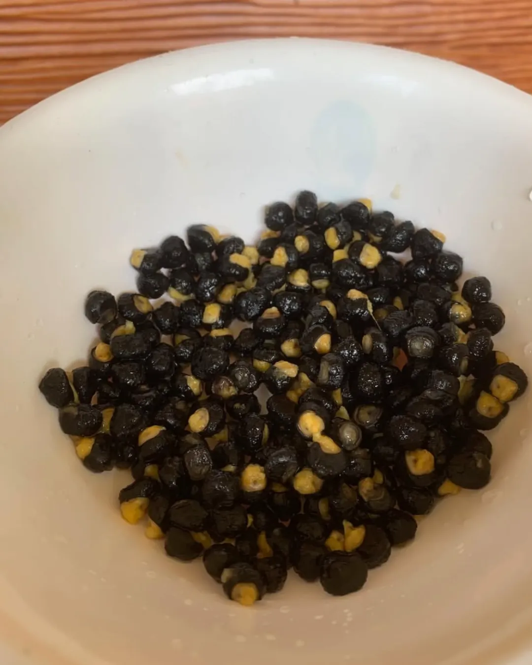 Musa ingens seeds