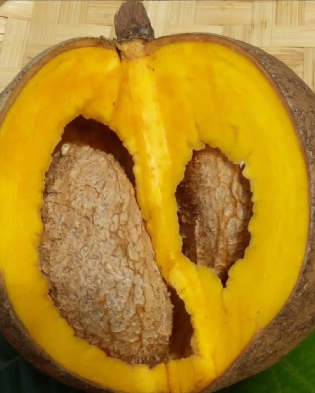 mammea americana seeds